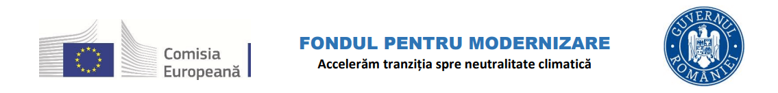 Fond-Modernizare